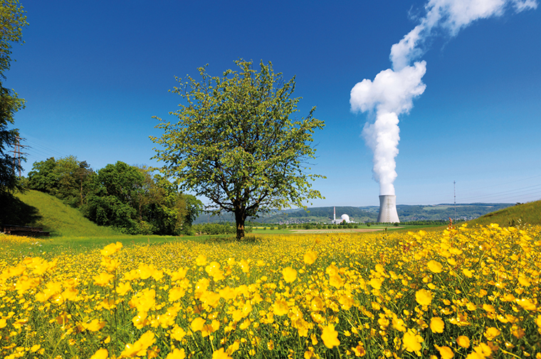Schweizer Kernkraftwerk mit Rapsfeld und Baum im Vordergrund