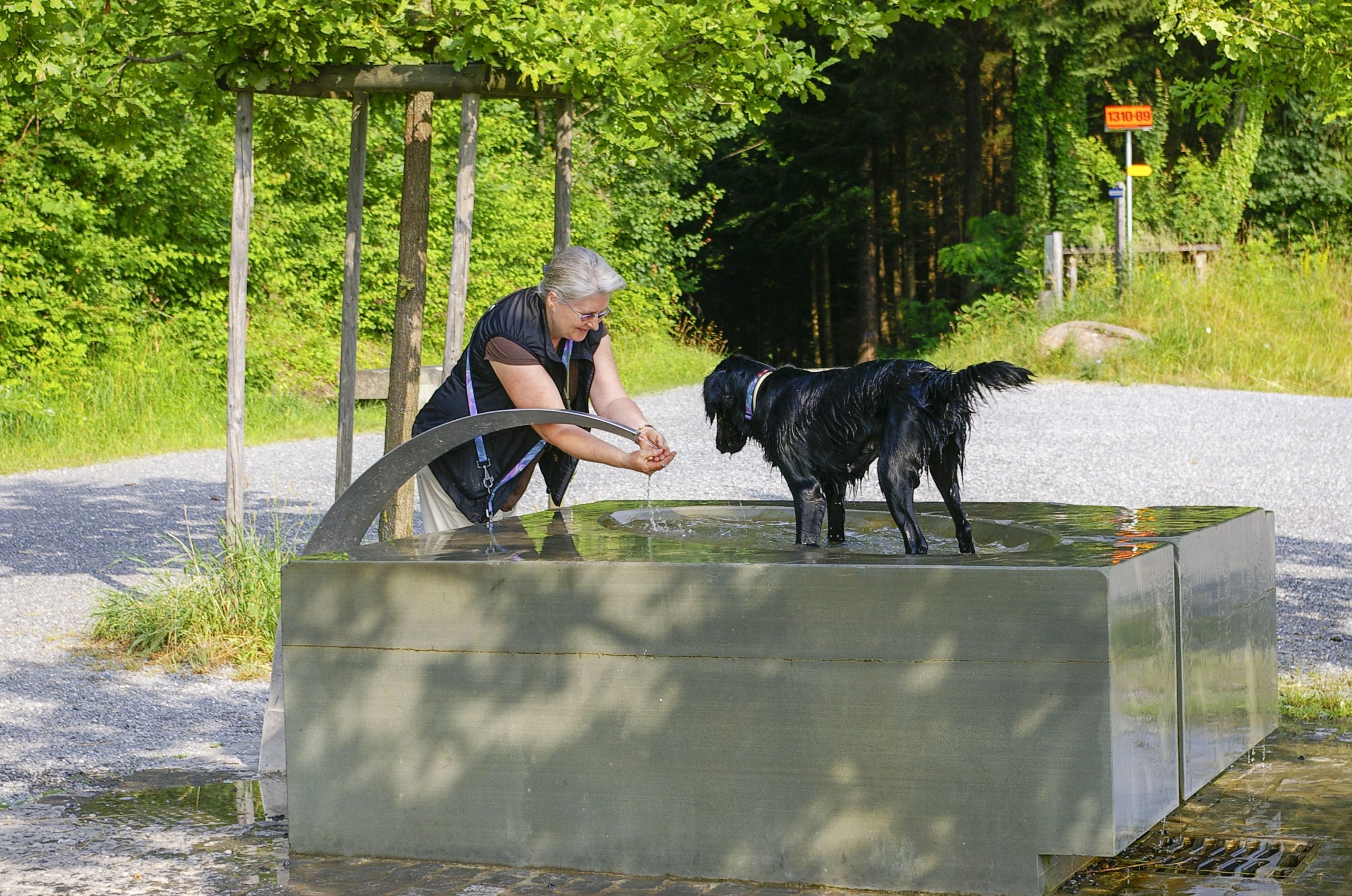 Frau beim Händewaschen am Brunnen und schwarzer Hund, der mit seinen vier Pfoten im Brunnen steht