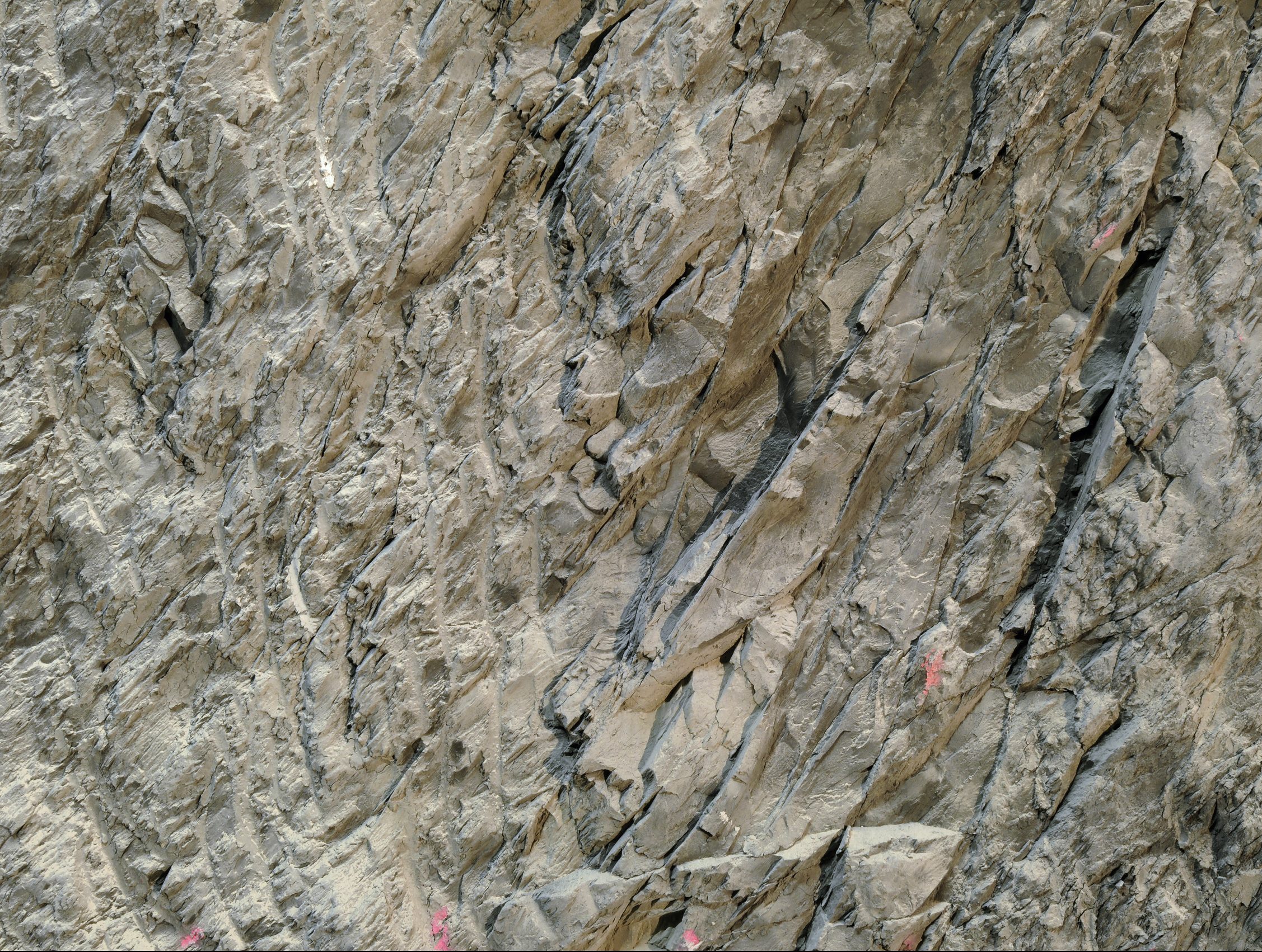 Gesteinsschicht des Opalinuston im Mont Terri mit Massstab für Grösseneinordnung