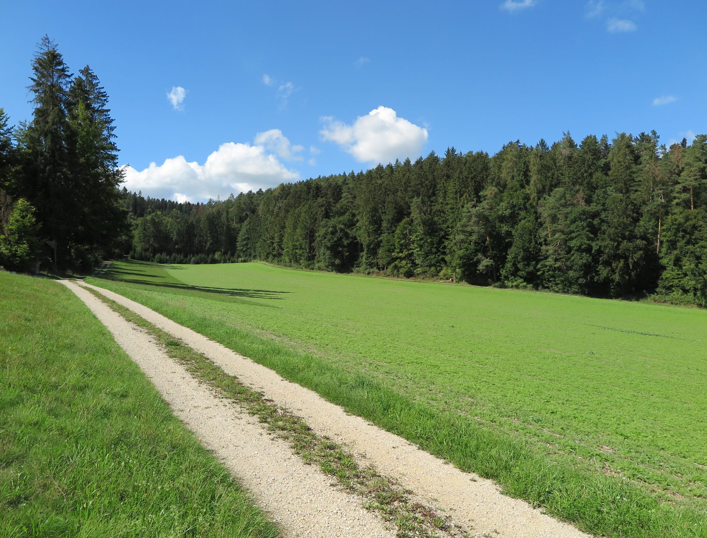 Haberstal in der Gemeinde Stadel mit Feld und Feldweg sowie Mischwald